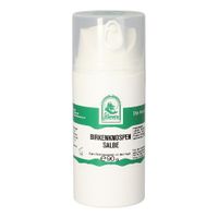 BIRKENKNOSPEN SALBE, 90 g, Hecht-Pharma GmbH