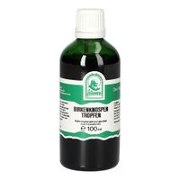 BIRKENKNOSPEN TROPFEN, 100 ml, Hecht-Pharma GmbH