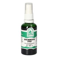 BIRKENKNOSPEN SPRAY, 50 ml, Hecht-Pharma GmbH