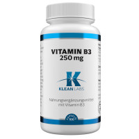 Vitamin B3 250 mg KLEAN LABS, 100 st, Supplementa GmbH