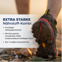 Dr. B&ouml;hm Knorpel & Knochen intensiv Trinkpulver, 30x5.7 g, Apomedica Pharmazeutische Produkte GmbH