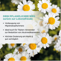 Mutterkraut Apomedica 200mg Filmtabletten, 60 st, Apomedica Pharmazeutische Produkte GmbH