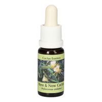 Here & Now-Cactus Essenz, 15 ml, Leitner Lifecare GmbH