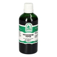 HASELNUSSKERNE TROPFEN, 100 ml, Hecht-Pharma GmbH