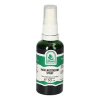 HASELNUSSKERNE SPRAY, 50 ml, Hecht-Pharma GmbH