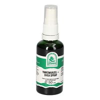 YAMSWURZEL + DHEA SPRAY, 50 ml, Hecht-Pharma GmbH