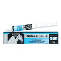 EQUISTRO ENERGY BOOSTER Paste Erg.-Fut Pferd, 20 g, O'ZOO GmbH