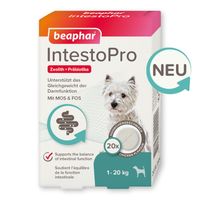 beaphar IntestoPro Tabs f&uuml;r kleine Hunde, 20 st, Beaphar B.V.