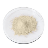 AVEA COLLAGEN ACTIVATOR Zitrone, 30 st, JDS Distribution B.V.