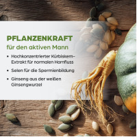 Dr. B&ouml;hm K&uuml;rbis f&uuml;r den Mann, 30 st, Apomedica Pharmazeutische Produkte GmbH