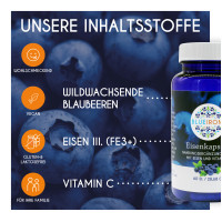 BlueIron Eisenkapseln, 60 st, Hager Pharma GmbH