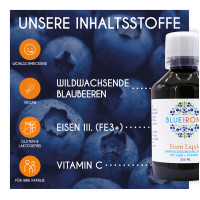 BlueIron Eisen Liquid, 250 ml, Hager Pharma GmbH