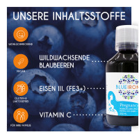 BlueIron Eisen Pregnancy + Folsäure, 250 ml, Hager Pharma GmbH