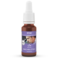 Bachbl&uuml;ten NR 41 FOCUS Tropfen, 20 ml, Hager Pharma GmbH