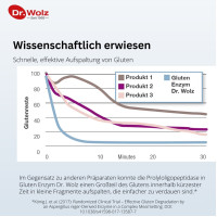 Gluten Pro + Calcium, 60 st, Dr. Wolz Zell GmbH