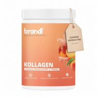 Kollagen Pulver Pfirsich, 550 g, Brandl Nutrition GmbH