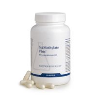 SAMETHYLATE PLUS, 120 st, Energetica Natura B.V.