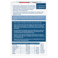 Doppelherz Kieselerde + Biotin + Zink, 40 st, Queisser Pharma GmbH & Co. KG