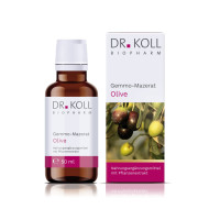 Gemmo-Mazerat Olive Dr. Koll Olea europaea, 50 ml, Dr. Koll Biopharm GmbH