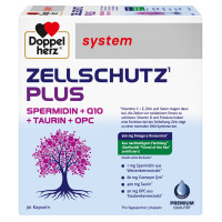 Doppelherz Zellschutz Plus Spermidi+Q10+Taurin+OPC, 90 st, Queisser Pharma GmbH & Co. KG