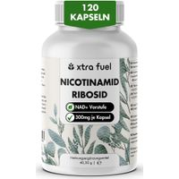 Nicotinamid-Ribosid, 120 st, PaNiKa UG (haftungsbeschr&auml;nkt)