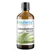 SCHACHTELHALM HORSETAIL EXTRAKT, 100 ml, Bioherba Reichenbach GmbH