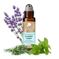 PHINTIN Roll-On Klarer Kopf, 10 ml, Hilnes GmbH