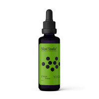 Mind Studio Maitake Extrakt, 50 ml, Mind Studio Biotech ApS