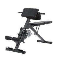 Finnlo Bauchtrainer / R&uuml;ckentrainer Ab&Back Trainer, 1 st, Finnlo