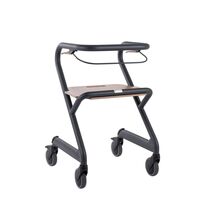 Saljol Wohnraumrollator, 1 st, SALJOL