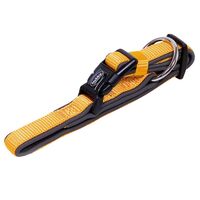 Hundehalsband - Halsband Classic Preno, 1 Stk., Nobby
