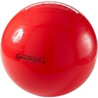Pezzi&reg;-Ball Original Gymnastikball mit &Uuml;bungsanleitung, 1 Stk., Pezzi