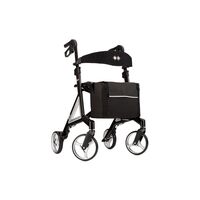 Bischoff & Bischoff Alevo Carbon Leichgewichtrollator, 1 st, Bischoff & Bischoff