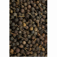 Kubeben Salbe 30g, 30 g, Hofapotheke St. Afra