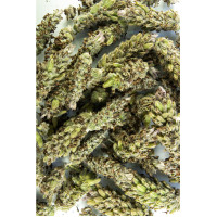 Schopflavendel Salbe 50g, 50 g, Hofapotheke St. Afra