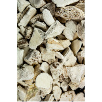 Drachenknochen 100g, 100 g, Hofapotheke St. Afra