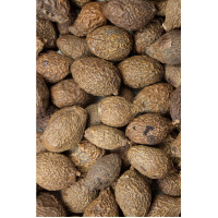 Sterkuliensamen Tropfen - Tinktur 500ml, 500 ml, Hofapotheke St. Afra