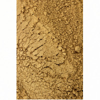 Blutwurzpulver 100g, 100 g, Hofapotheke St. Afra