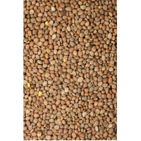 Rettichsamen Salbe 200g, 200 g, Hofapotheke St. Afra