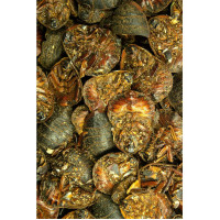 Saftkugler Salbe 200g, 200 g, Hofapotheke St. Afra