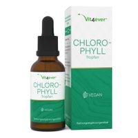 vit4ever Chlorophyll Tropfen 100 ml, 100 ml, vit4ever