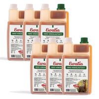 Ewalia Herz-Kreislaufsaft für Pferde Sechserpackung 6x1 l, 6 l, Ewalia