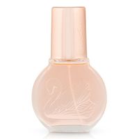 Vanderbilt - Eau de Toilette 100 ml Damen, 100 ml, Vanderbilt