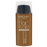 Postquam - Glanz-Repair Haaröle & -seren 30 ml, 30 ml, Postquam