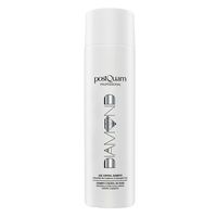 Postquam - Diamond Age Control Shampoo 250 ml Damen, 250 ml, Postquam