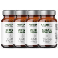 Ginkgo Biloba und Vitamine Kapseln 4 x 60 St&uuml;ck AKTION, 240 Stk., Kr&auml;utermax