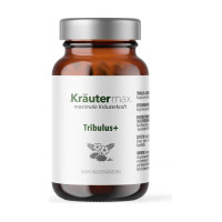 Tribulus+ Kapseln 90 St&uuml;ck, 90 Stk., Kr&auml;utermax