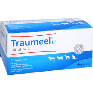 TRAUMEEL LT ad us.vet.Ampullen