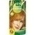Hennaplus Long Lasting Copper Blond 8.4, 100 Milliliter, frenchtop natural care products b.v