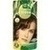 Hennaplus Long Lasting Light Golden Brown 5.3, 100 Milliliter, frenchtop natural care products b.v